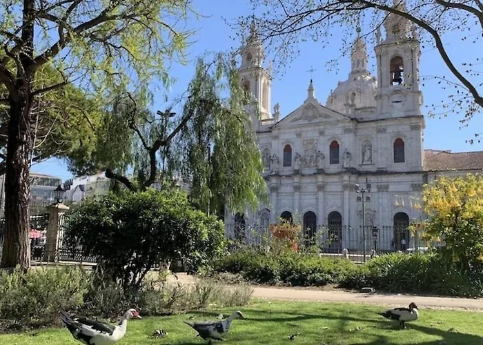 Sunny In 아파트 *